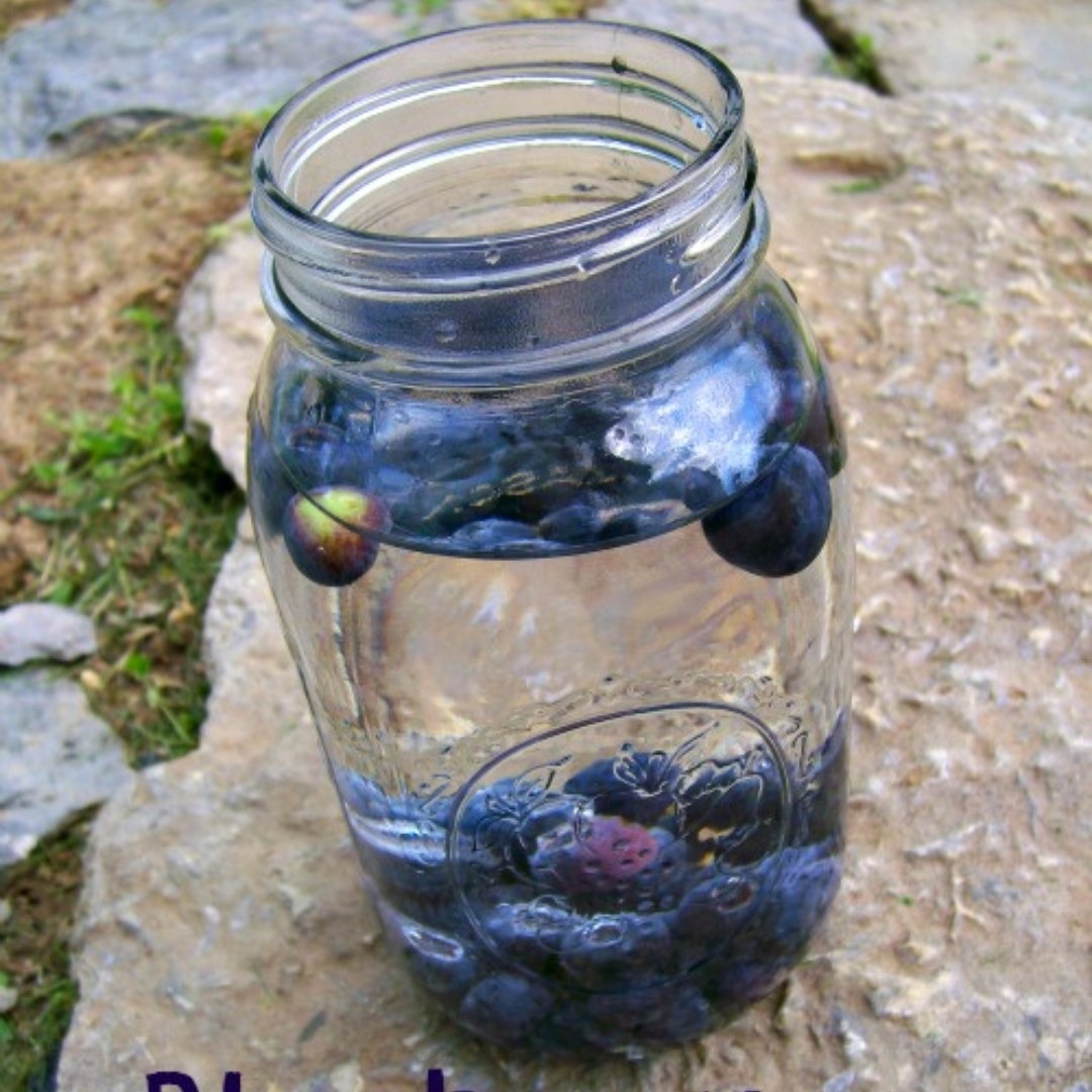 Blueberry-water recipe