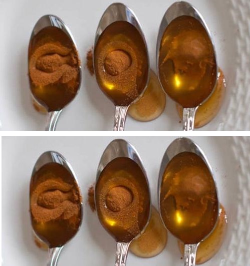 Honey and Cinnamon: Exploring the Potent Natural Remedy Passed Down Through Generations