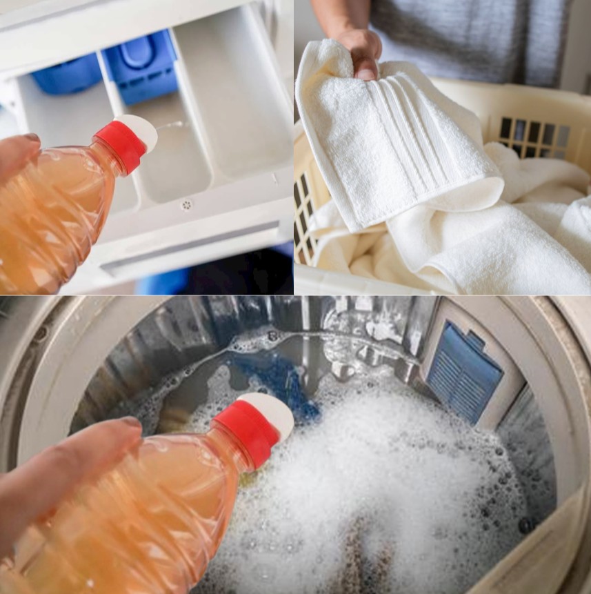 Vinegar Your Secret Weapon for Cleaner Fresher Laundry