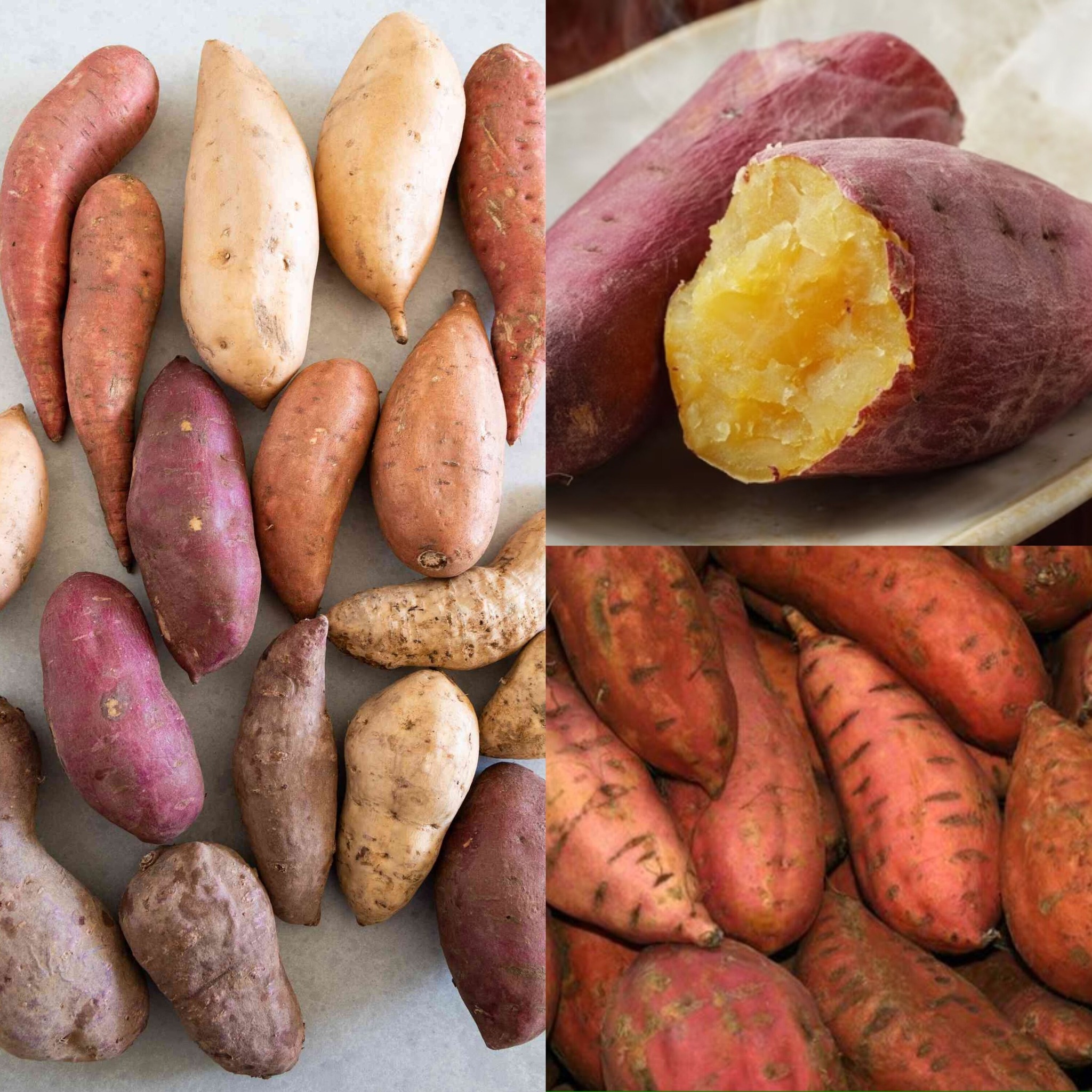 Discover the Magic of Sweet Potatoes