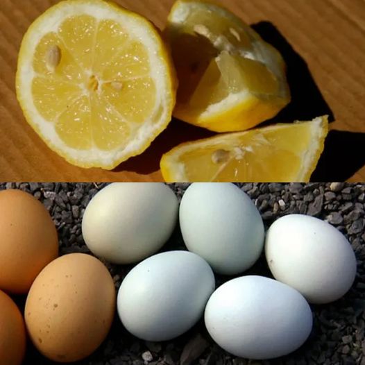 Unlocking the Magic of Lemons and Eggs