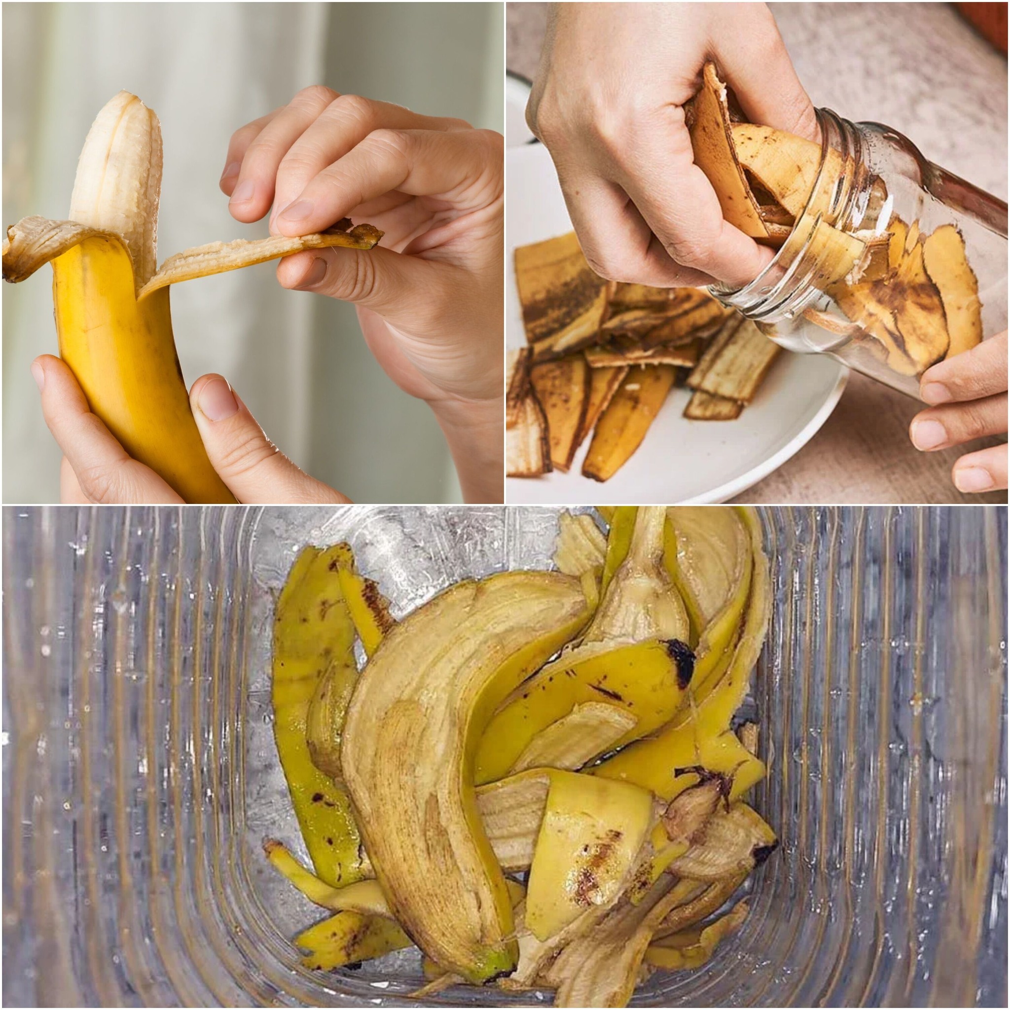 6 Banana Peel Tricks