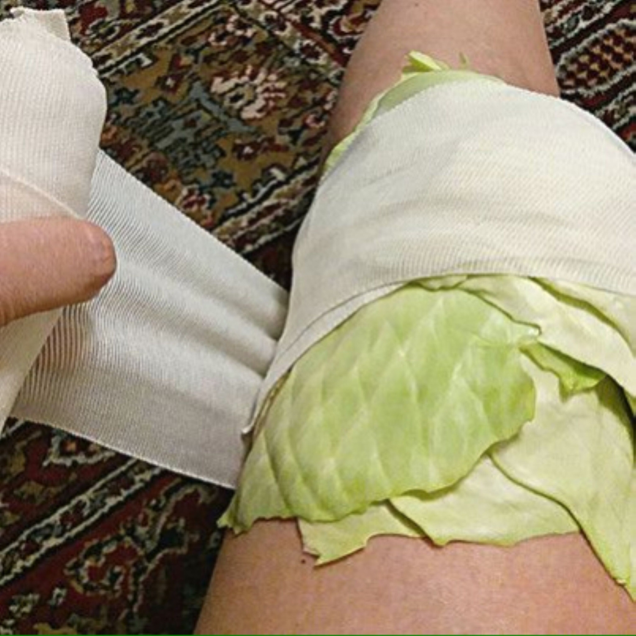 Discover the Surprising Health Benefits of Rolling Cabbage on Your Knees