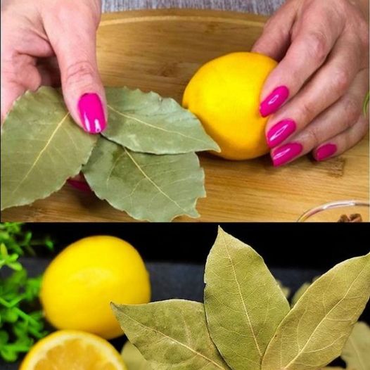 Breathe Easy with Homemade Bay Leaf and Lemon Syrup