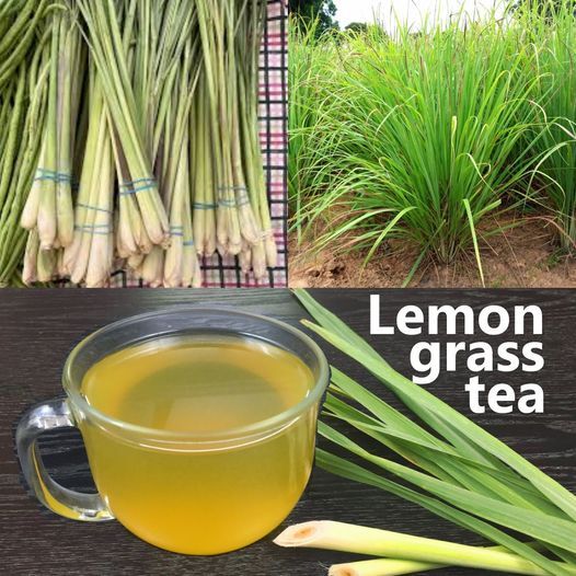 Amazing Benefits of Lemongrass Tea