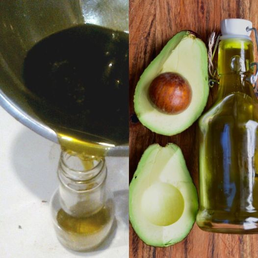 How to Make Cold Pressed Avocado Oil at Home