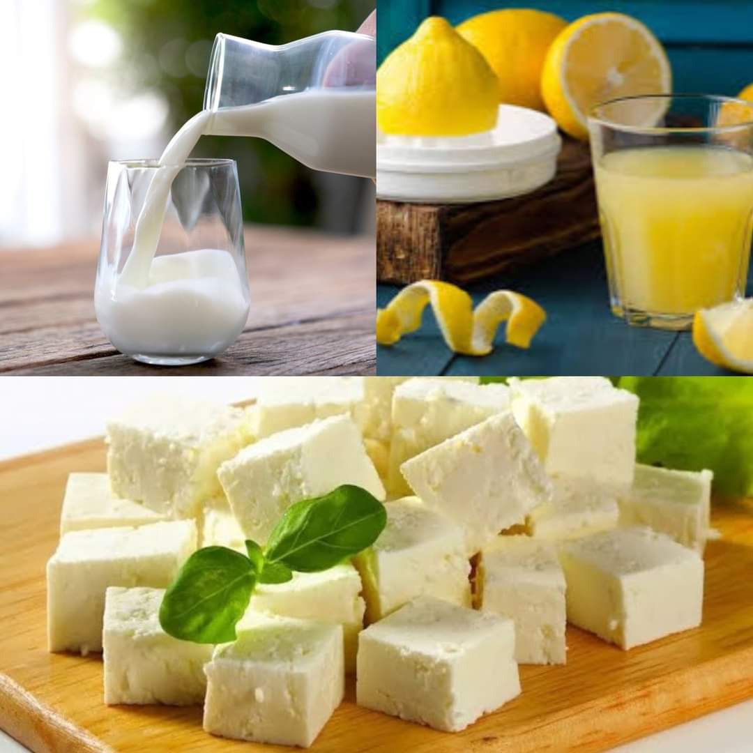 Homemade Feta Cheese with Just 3 Ingredients