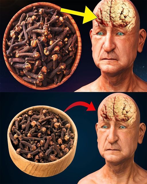 Discovering the Wonders of Cloves