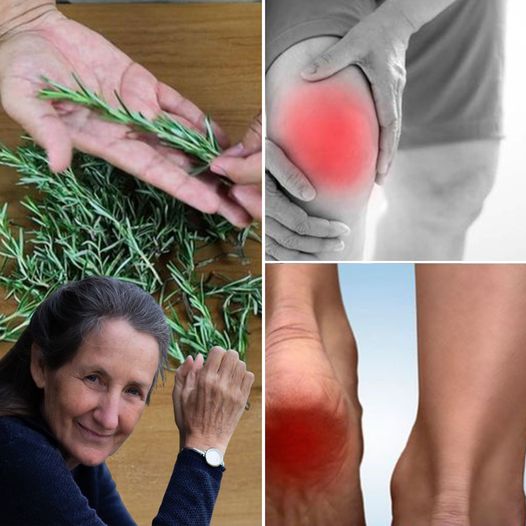 Improve Your Mobility and Well being with Rosemary