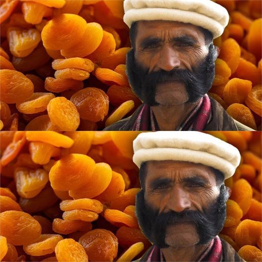The Power of Dried Apricots