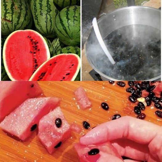 Unlock the Hidden Potential of Watermelon Seeds