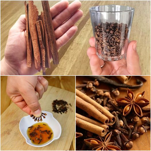 The Magic of Cinnamon and Cloves