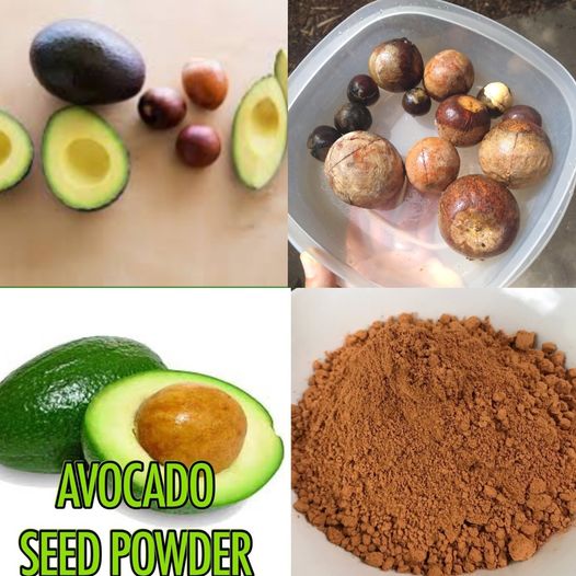 Avocado Seed Powder