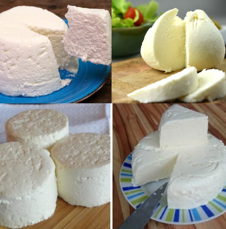 Easy Homemade Fresh Cheese Recipe for Cheese Lovers